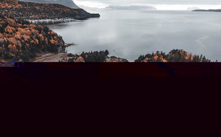 出国移民中介公司