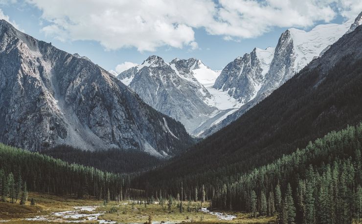 移民瓦努阿图推荐中介公司